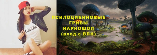 ГАЛЛЮЦИНОГЕННЫЕ ГРИБЫ Новокубанск
