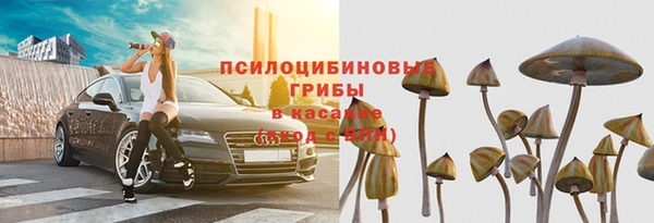 индика Нефтекумск