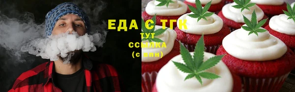 индика Нефтекумск