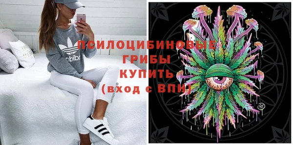 индика Нефтекумск