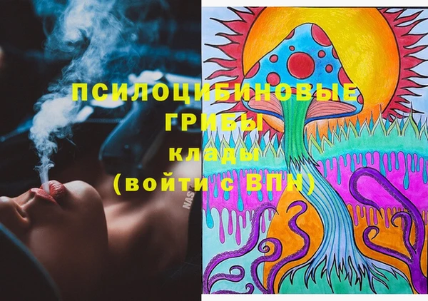 прущие крисы Надым