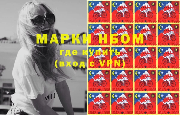 индика Нефтекумск