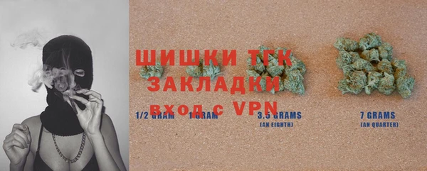 индика Нефтекумск