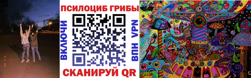 кракен как зайти  Шагонар  Галлюциногенные грибы Cubensis 